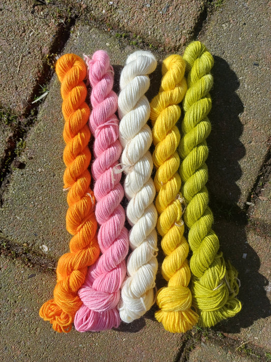 Exciting Adventures Mini Skein Set